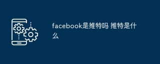 facebook是推特吗 推特是什么