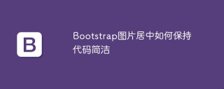 How to keep the code simple in the center of the Bootstrap picture
