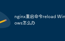 nginx重启命令reload Windows怎么办