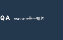 vscode是干嘛的