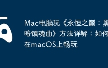 Mac电脑玩《永恒之巅：黑暗镇魂曲》方法详解：如何在macOS上畅玩