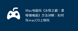 Mac电脑玩《永恒之巅：黑暗镇魂曲》方法详解：如何在macOS上畅玩