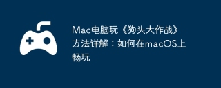 Mac电脑玩《狗头大作战》方法详解：如何在macOS上畅玩