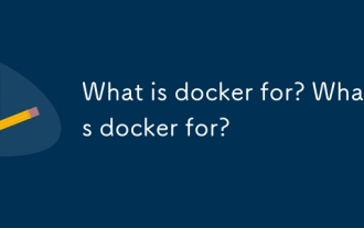 Docker의 Docker는 무엇입니까? Docker는 무엇입니까?