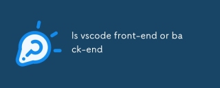 Is vscode front-end or back-end