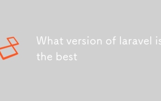 Welche Version von Laravel ist die beste