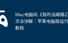 Mac电脑玩《我的汤姆猫2》方法详解：苹果电脑版运行教程