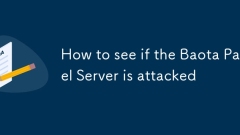 Comment voir si le serveur de panneaux Baota est attaqué