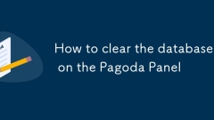 Comment effacer la base de données sur le panneau Pagoda