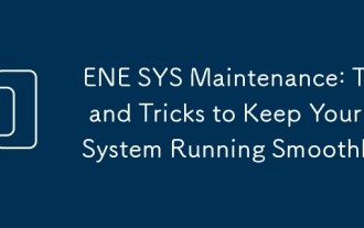 ENE SYS Maintenance: Tips and Tricks to Keep Your System Running Smoothly
