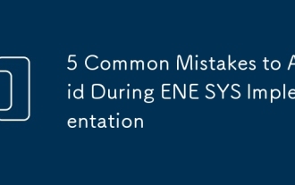 5 Common Mistakes to Avoid During ENE SYS Implementation