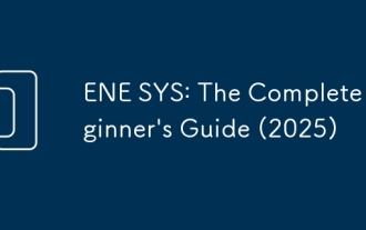 ENE SYS: The Complete Beginner's Guide (2025)