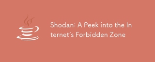 Shodan : 인터넷의 금지 된 구역을 엿볼 수 있습니다
