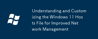 了解和自定義Windows 11主機文件以改進網絡管理
