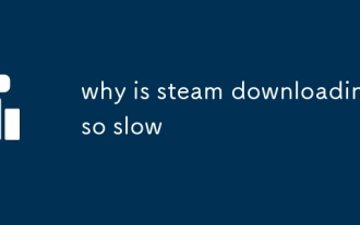 why is steam downloading so slow