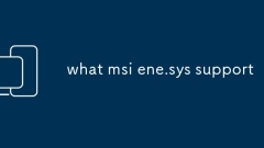 what msi ene.sys support