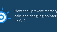 如何防止记忆泄漏和C中悬挂的指针?