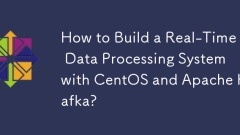 How to Build a Real-Time Data Processing System with CentOS and Apache Kafka?