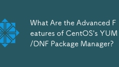 What Are the Advanced Features of CentOS's YUM/DNF Package Manager?