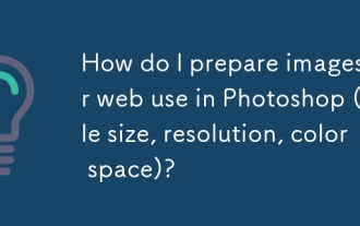 Wie bereite ich Bilder für die Verwendung von Web -Verwendung in Photoshop (Dateigröße, Auflösung, Farbraum) vor?