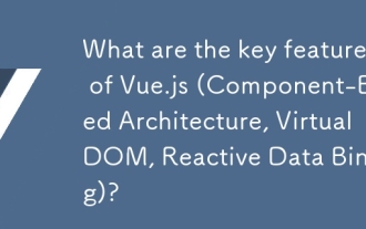 Vue.js(コンポーネントベースのアーキテクチャ、仮想DOM、リアクティブデータバインディング)の主な機能は何ですか?