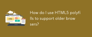HTML5 폴리 플릴을 사용하여 이전 브라우저를 지원하는 방법은 무엇입니까?
