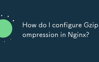 Wie konfiguriere ich die GZIP -Komprimierung in Nginx?