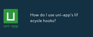 Uni-App의 수명주기 후크를 어떻게 사용합니까?