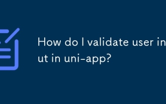 Comment valider la saisie de l'utilisateur dans Uni-App?