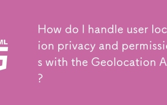 Wie gehe ich mit der Privatsphäre und Berechtigungen des Benutzer Ort mit der Geolocation -API um?
