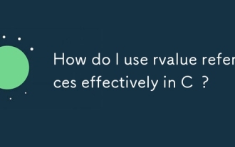 How do I use rvalue references effectively in C ?