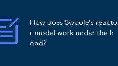 Bagaimanakah model reaktor swoole berfungsi di bawah tudung?