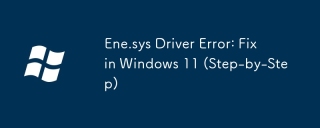 ene.sys驅動程序錯誤：在Windows 11中修復（逐步）