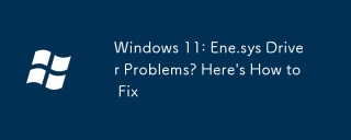 Windows 11：Ene.sys驅動程序問題？這是解決方法