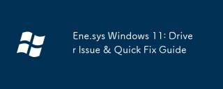 ene.sys Windows 11：驅動程序發行＆amp;快速修復指南