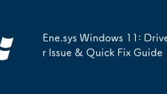 ENE.SYS Windows 11: Prodition du pilote & amp; Guide de correction rapide