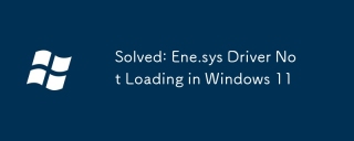 已解決：ene.sys驅動程序未在Windows 11中加載
