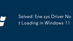 Gelöst: ENE.SYS -Treiber nicht in Windows 11 laden