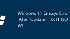 업데이트 후 Windows 11 ENE.SYS 오류? 지금 고칠!