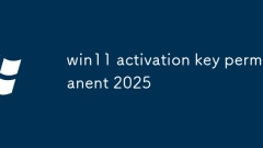 Win11 활성화 키 영구 2025