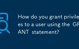 Grant Statementを使用してユーザーに特権をどのように付与しますか?