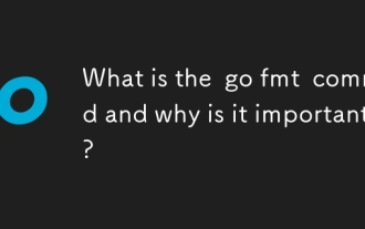 Go FMTコマンドとは何ですか?なぜそれが重要なのですか?