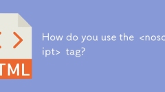 Comment utilisez-vous le & lt; noscript & gt; étiqueter?