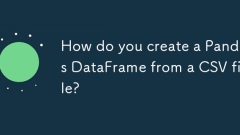 Bagaimana anda membuat data Pandas DataFrame dari fail CSV?