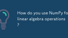 Bagaimana anda menggunakan Numpy untuk operasi algebra linear?