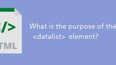 Quel est le but du & lt; datalist & gt; élément?