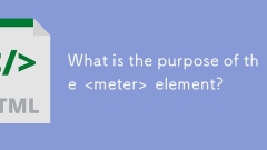 Quel est le but du & lt; mètre & gt; élément?