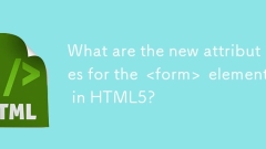 Quels sont les nouveaux attributs pour le & lt; formulaire & gt; élément dans html5?