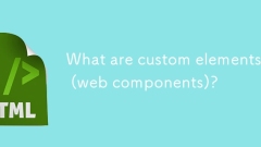 Quels sont les éléments personnalisés (composants Web)?