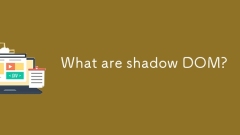 Que sont les Shadow Dom?